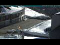 Webcam Stelvio Pass