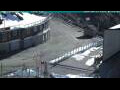 Webcam Stelvio Pass