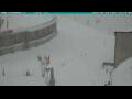 Webcam Passo dello Stelvio