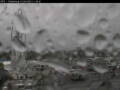 Webcam Oldenburg
