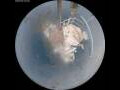 Webcam Arctic Sunrise