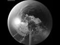 Webcam Arctic Sunrise