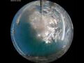 Webcam Arctic Sunrise