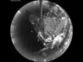 Webcam Arctic Sunrise