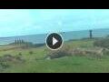 Webcam Hanga Roa (Isola di Pasqua)