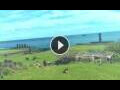 Webcam Hanga Roa (Easter Island)