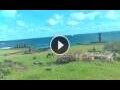 Webcam Hanga Roa (île de Pâques)