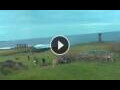 Webcam Hanga Roa (Easter Island)