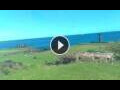 Webcam Hanga Roa (Easter Island)