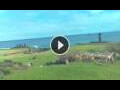 Webcam Hanga Roa (Easter Island)