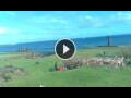 Webcam Hanga Roa (Isola di Pasqua)