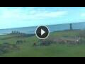 Webcam Hanga Roa (Isola di Pasqua)