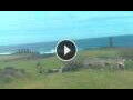 Webcam Hanga Roa (île de Pâques)