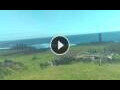 Webcam Hanga Roa (Isola di Pasqua)