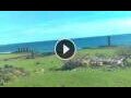 Webcam Hanga Roa (Isla de Pascua)