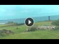 Webcam Hanga Roa (Easter Island)