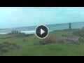 Webcam Hanga Roa (Easter Island)