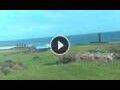 Webcam Hanga Roa (Easter Island)