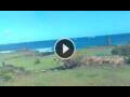 Webcam Hanga Roa (Easter Island)