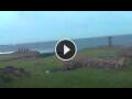Webcam Hanga Roa (Isola di Pasqua)