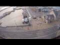 Webcam Kirkwall