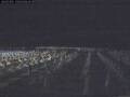 Webcam Marina di Pisa