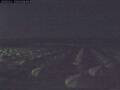 Webcam Marina di Pisa