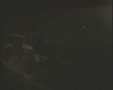 Webcam Milano Marittima