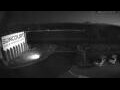 Webcam Taupo
