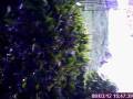 Webcam Grand Rapids, Michigan