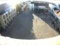 Webcam Senftenberg