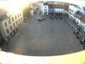 Webcam Senftenberg