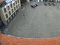 Webcam Senftenberg