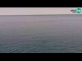 Webcam Piran