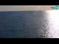 Webcam Piran