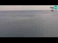 Webcam Piran