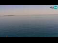 Webcam Piran
