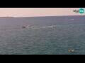 Webcam Piran