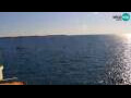 Webcam Piran