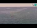 Webcam Piran