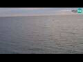 Webcam Piran
