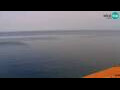 Webcam Piran
