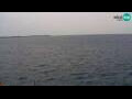 Webcam Pirano
