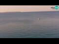 Webcam Piran