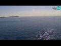 Webcam Piran