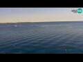 Webcam Piran