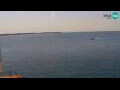 Webcam Piran