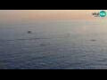 Webcam Piran