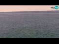 Webcam Piran