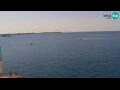 Webcam Piran